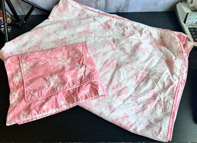 Juego de edredón y farsa reversible floral rosa Lands’ End Home talla doble para niñas Foto 1 de 4