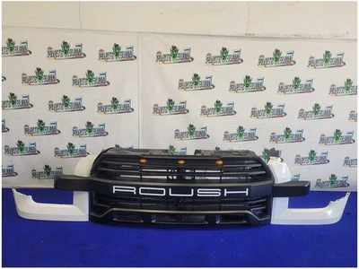 Ford F150 2015-2017 camioneta pickup Roush parrilla delantera luz moldura pintura blanca 2733 Foto 1 de 4