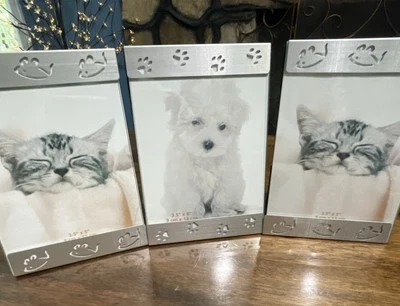 "Lote de ratón con marco de fotos de metal para mascotas impresiones de patas si 3 contiene imagen de 3,5""x5"" perro gato" Foto 1 de 4
