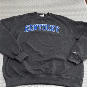 Champion Kentucky Sweatshirt Large, Gray Crewneck Logo, NCAA College Team Spirit - Picture 1 of 8