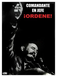 3110.Decorative Poster.Home room interior wall art decoration.Castro.History - Picture 1 of 1