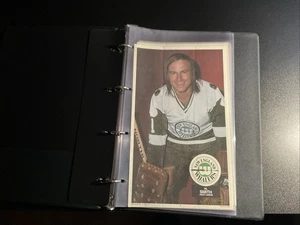 1973-74 OPC WHA Hockey Poster Komplettsatz (20) fast neuwertig im Album. - Bild 1 von 20