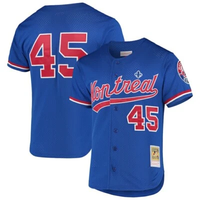 Pedro Martinez Montreal Expos Mitchell & Ness 1997 Mesh BP Blue Retro MLB Jersey - Image 1 of 3