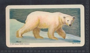 POLAR BEAR - Tarjeta comercial canadiense de 50 + años # 32 - Imagen 1 de 2