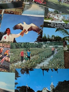 Lot 100+ Florida Postcards Chrome Era Motels Hotels Restaurants Attractions - Picture 1 of 9