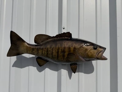 20" Smallmouth Bass Two Sided Fish Mount Replica Brown- In Stock & Ready to Ship - Image 1 of 4
