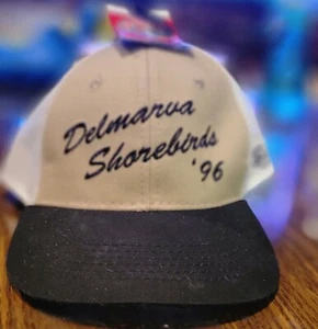 Delmarva Shorebirds Vintage Adjustable Hat Minor League Baseball Orioles - Picture 1 of 5