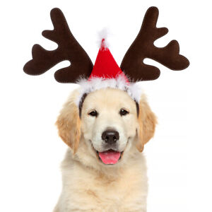  Creative Hair Hoop Dog Costumes Accessories Christmas Angle Headband Pet