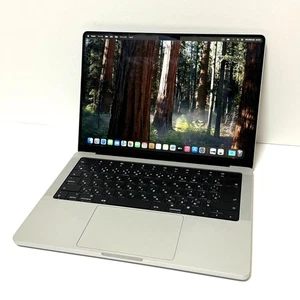 Apple MacBook Pro 14" M1 Pro 16GB RAM 1TB SSD Silver Japanese Keyboard - Afbeelding 1 van 6