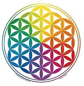 Blume des Lebens Regenbogen  Chakra Energie FENG SHUI Fensterbild Aufkleber