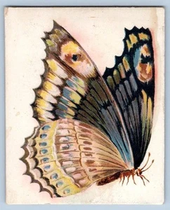 Tarjeta comercial victoriana 1902 ALFRED WRIGHT'S NUEVO PERFUME MADAME BUTTERFLY - Imagen 1 de 2