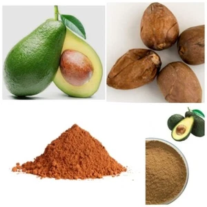 Semilla de aguacate orgánica a base de hierbas de Ceilán en polvo pura 100 % envío gratuito 50 g - 300 g - Imagen 1 de 7