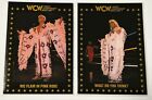 Ric Flair Championship Marketing 1991 cartes WCW #73 & #79 - Robe rose Ric