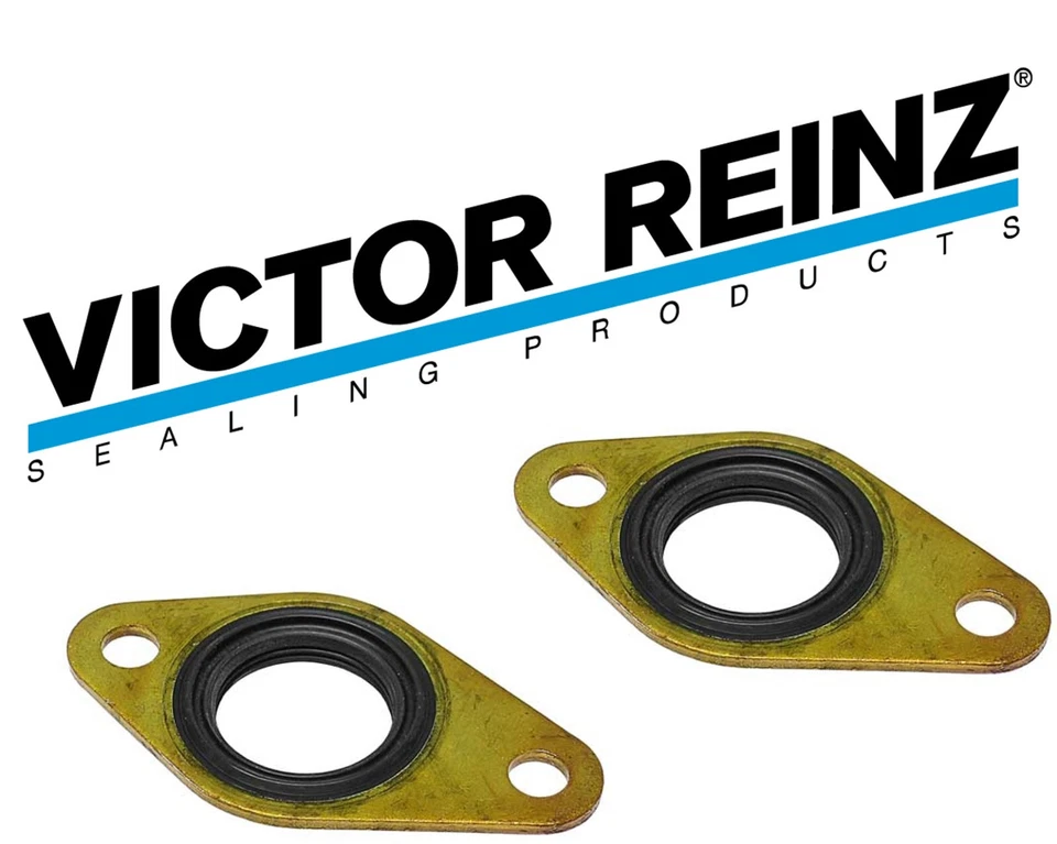 Juego de sellos Victor Excentric Shft Snsr para BMW Serie 5,7,X5 V8 02-10 Foto 1 de 2