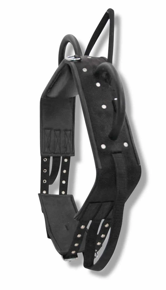 AMKA Voltigiergurt/Longiergurt Leder/Synthetik mit 2 runden Griffen  - Bild 1 von 1