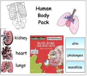 PACK TEMÁTICO CUERPO HUMANO - Recurso de enseñanza de ciencias etapa clave 2 - Imagen 1 de 7