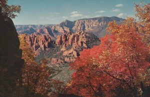 Cartolina Vista da Schnebly Hill Oak Creek Canyon Arizona - Foto 1 di 2