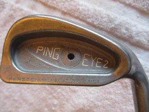 Ping Eye 2 Black Dot 3 Eisen ZZ Lite Schaft mit VOLLSCHAFTBAND NICHT + - Bild 1 von 6