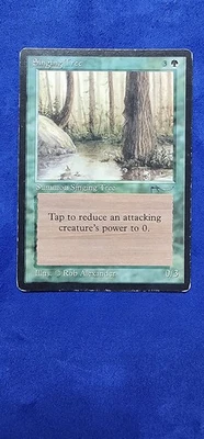 MTG Singing Tree Arabian Nights in MP Condition - Image 1 of 4