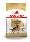 Royal Canin German Shepherd Per Cani Adulti Kg3 Alimento Completo Per Cani P