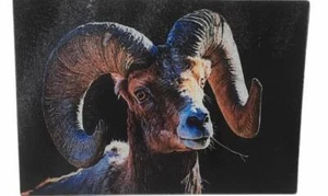 Tabla de cortar rectangular Ram Head Art queso fruta vidrio templado 8" x 11" - Imagen 1 de 4