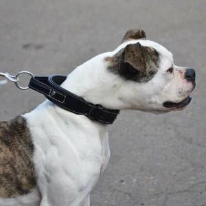 Shwaan Leather Dog Collar Handle Dog Heavy Duty MilitaryTactical Training collar - Picture 1 of 7