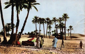 Túnez Dans la Palmeraie Vintage RPPC C363 - Imagen 1 de 2