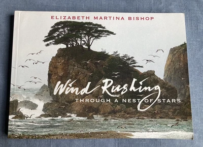 WIND RUSHING THROUGH a NEST of STARS 2014 Elizabeth Martina Bishop POETRY POEMS - Image 1 of 4