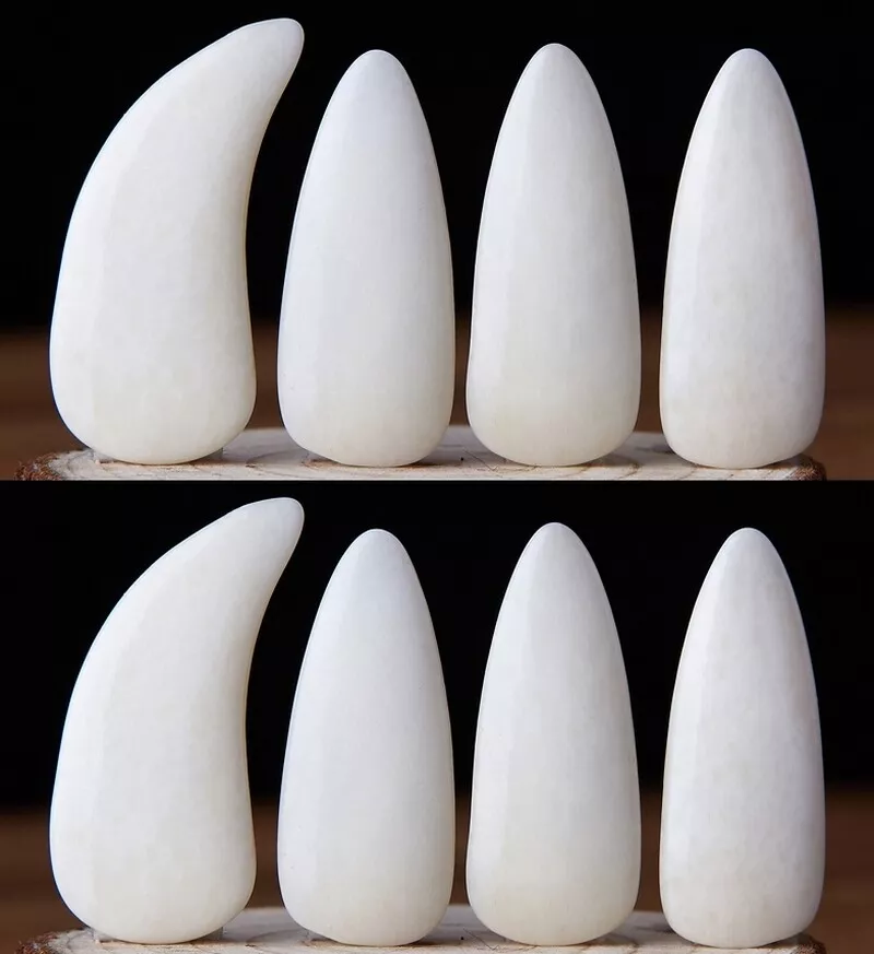 8X Buffalo Skeleton Carved Gu Zheng String Finger Picks Adult Nails - Image 1 of 3