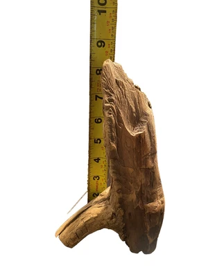 All-natural driftwood, 8" x 4" for Decor, birdcage, fish aquarium or terrarium - Image 1 of 3