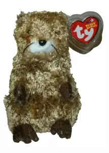 Ty Beanie Baby - PUNXSUTAWN-E PHIL the Groundhog (Internet Exclusive) MWMT - Picture 1 of 7