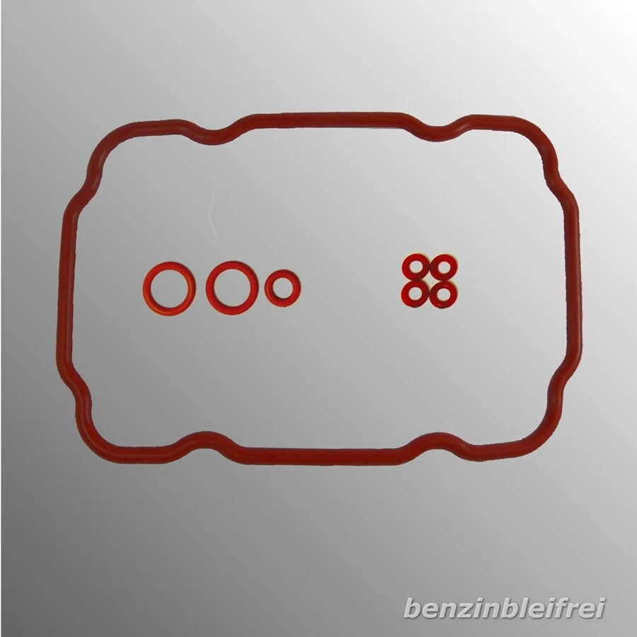 1x Satz Dichtung O-Ringe Ausgangsventil wie SAECO Vienna Nova Solis Master 5000 - Bild 1 von 1