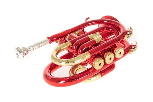 Gewa Tromba Pocket in sib Roy Benson Pt-101r