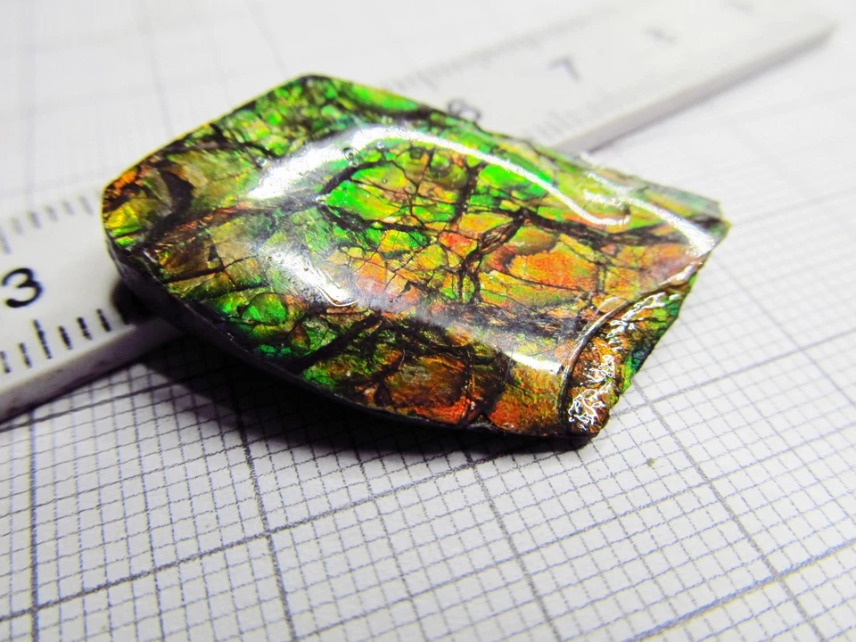 Ammolit, Ammolith, Ammolite Kanada, Maße ca. 28 x 19 x 4,5 mm, Gewicht 25,8 ct! - Bild 1 von 4
