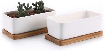 Keramik Sukkulenten Töpfe Kaktus Pflanze Töpfe Klein Blumentöpfe mit Untersetzer - Bild 1 von 4