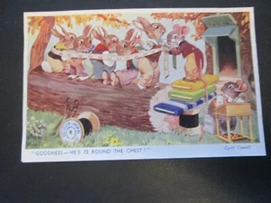 Bamforth BUNNY Postcard "Goodnes - He's 72 round the chest" Cyril Cowell unposte - Picture 1 of 2