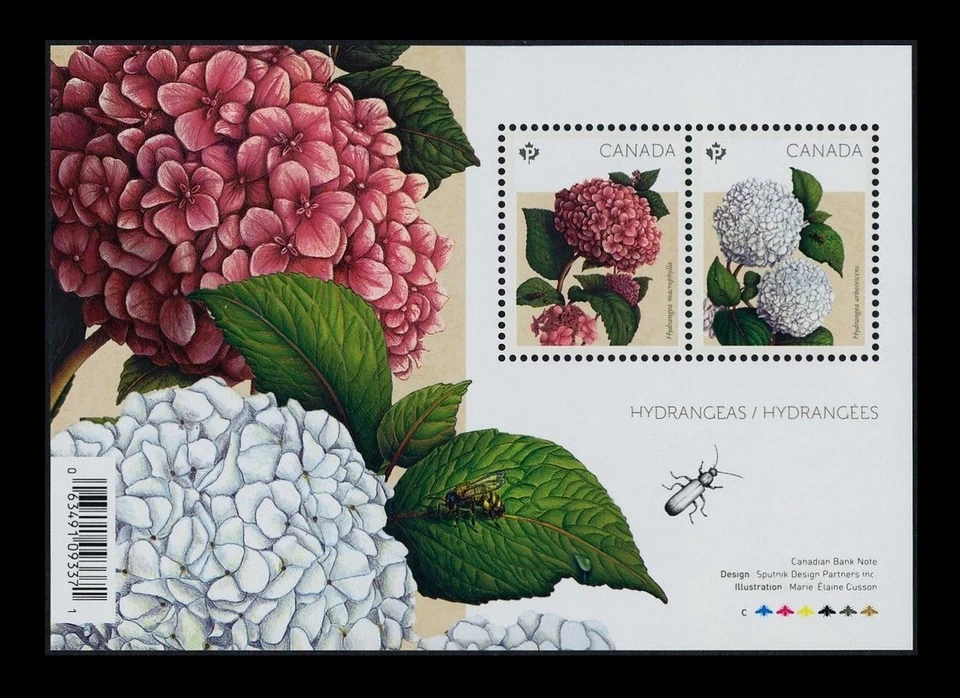 Canada Stamps — Souvenir Sheet — 2016, Flowers: Hydrangeas #2896 — MNH - Image 1 of 1