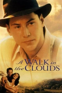 A Walk in the Clouds [DVD] Keanu Reeves,Aitana Sánchez-Gijón,Bill - Picture 1 of 1