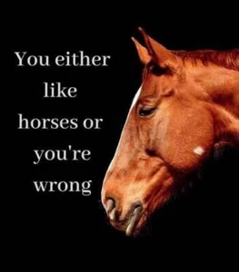 Horse refrigerator magnet 3 1/2 X 3 1/2 " - Picture 1 of 1