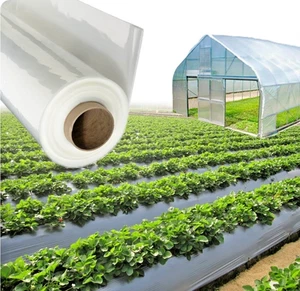 1.5 X 5M 250G Clear Heavy Duty Polythene Plastic Sheeting Garden DIY Roll LDPE - Picture 1 of 7
