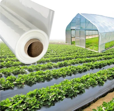 1.5 X 5M 250G Clear Heavy Duty Polythene Plastic Sheeting Garden DIY Roll LDPE - Image 1 of 4