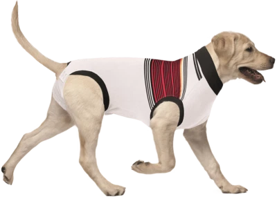 SUITICAL Wundschutz Anzug (Recovery Suit) für Hunde, "Deutschland Fan Edition"