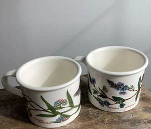 Lot 2 Portmeirion Botanic Garden Broom Rhododendron 3" Drum Flat Coffee Cup Mugs - Picture 1 of 5