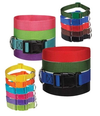 Dog Collar Bulk Packs Nylon Litter Band Puppy Rescue Shelter Pick Size & Amount - Image 1 of 4