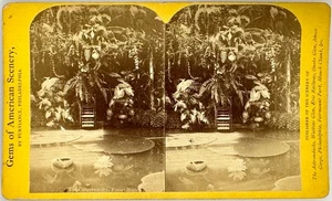 SV027_132 Stereoview OH, Dayton The Conservatory, Forest Home - Picture 1 of 1