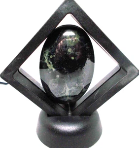 Kumbala Jaspis Palmenstein 2 1/2" x 1 1/2" im Displayrahmen - Bild 1 von 2