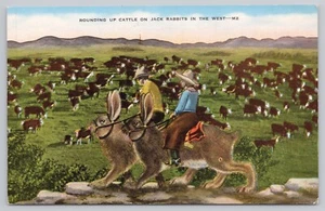Exaggeration Postcard - 2 Cowboys Riding Huge Jack Rabbits - Rounding Up Cattle - Picture 1 of 2