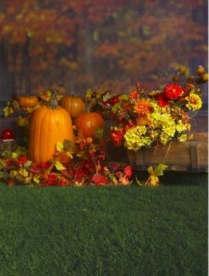 Fotografía fondo calabaza de Halloween 5x7 Foto 1 de 2