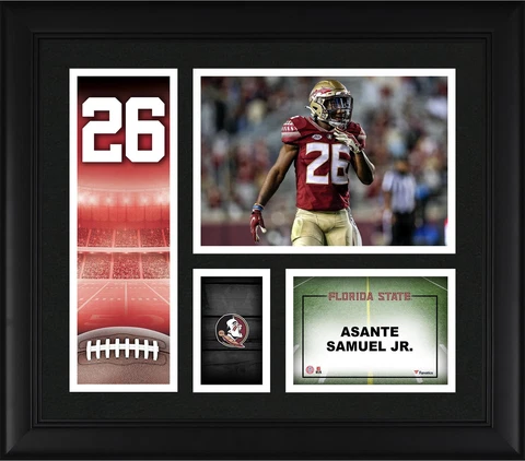 Asante Samuel Jr Florida State Seminoles Framed 15"x 17" Player Core Collage Cover