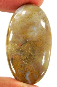 31,70 ct Natürlicher Palmenwurzel Achat Loser Edelstein Cabochon Draht Wickelstein - 23220 - Bild 1 von 2